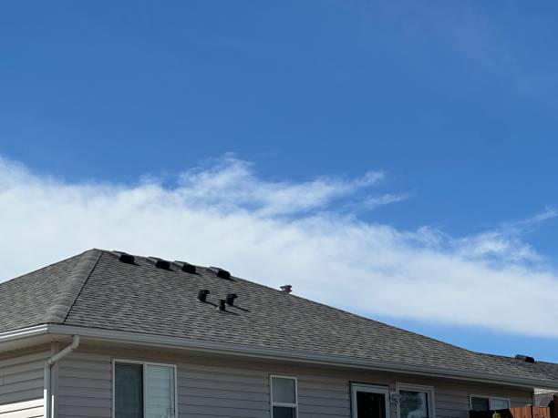 Best Roof Maintenance and Cleaning  in USA